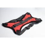 ÁllÍtható kutyahám