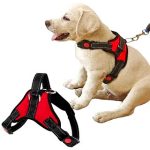 ÁllÍtható kutyahám