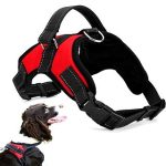 ÁllÍtható kutyahám