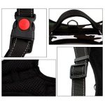 ÁllÍtható kutyahám