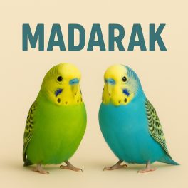 Madarak