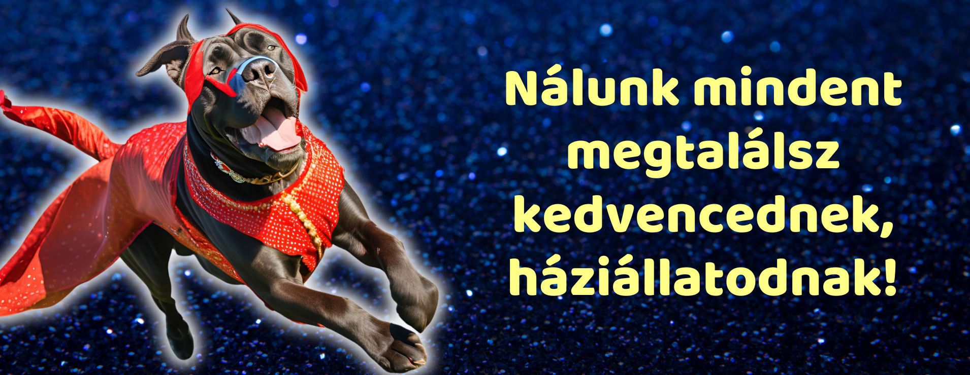 meksz-nagybanner-1910-4.png